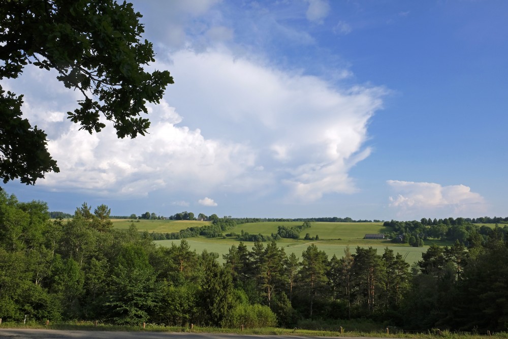 Viewing area on Greili Hill