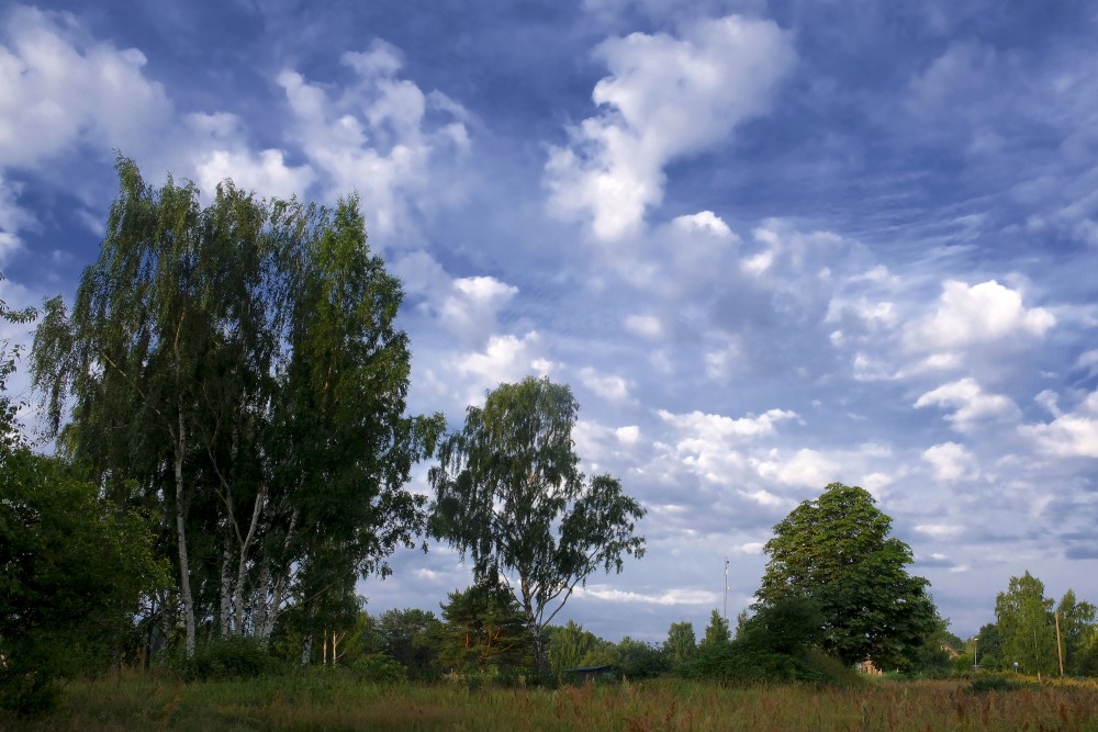 Landscape with Cloudy Sky