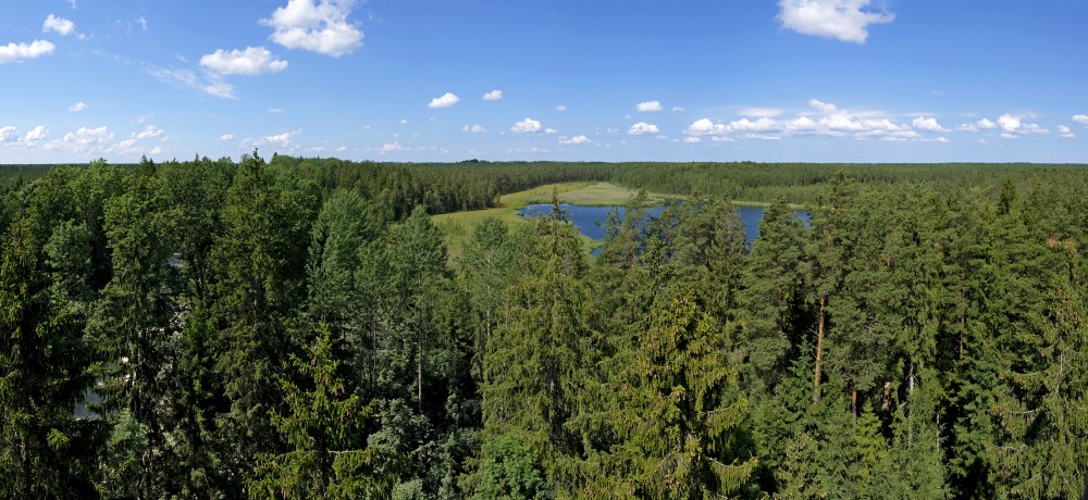 Panoramic view from the Kangari Observation Tower