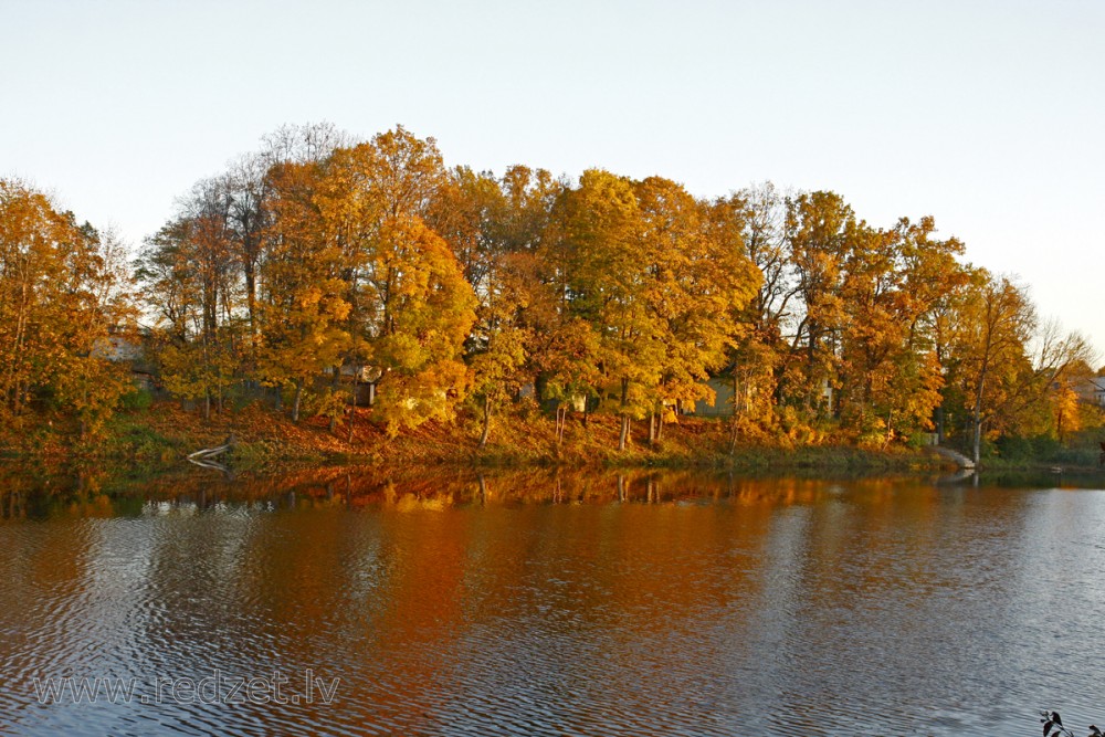 "Zelta rudens" Ogrē