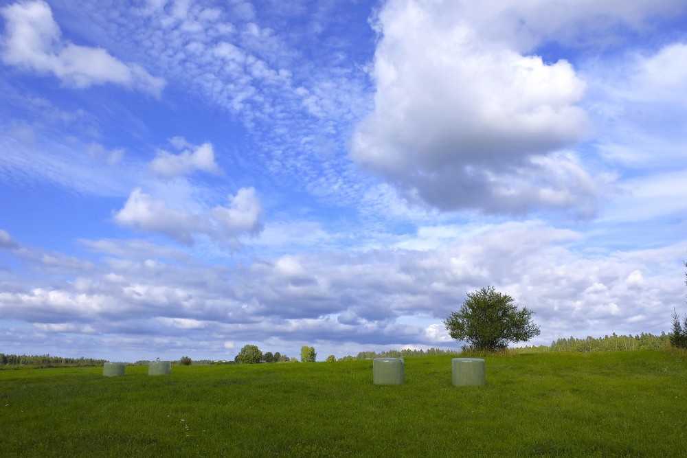 Lauku ainava ar mākoņainām debesīm, skābsiena ruļļi Lauku ainava ar mākoņainām debesīm, skābsiena ruļļi
