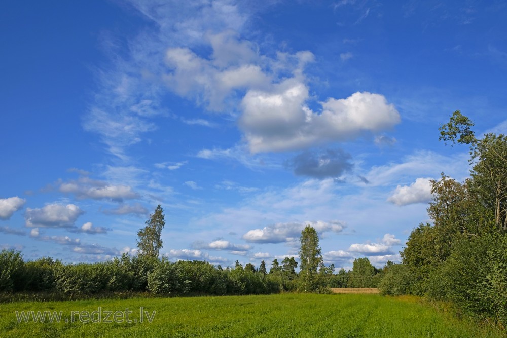 Rural Landscape With White Clouds