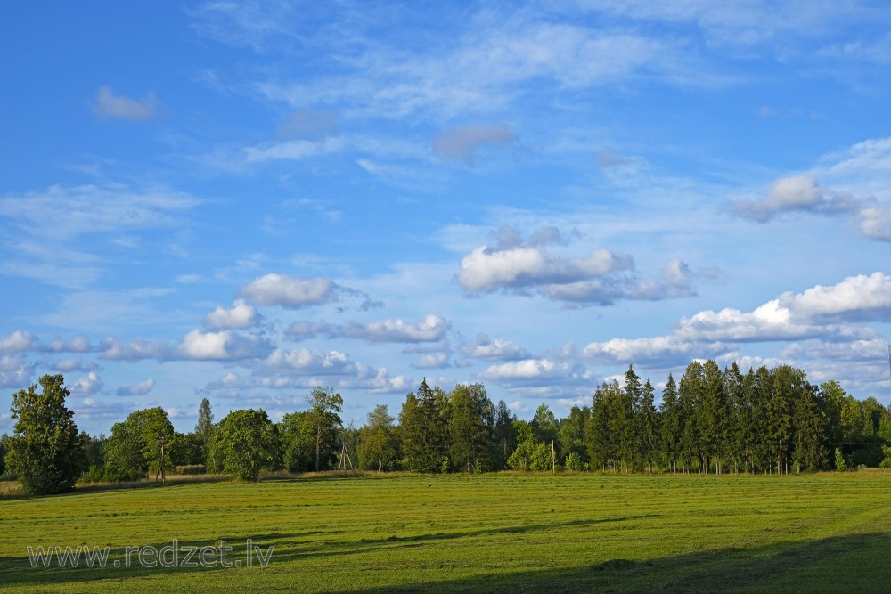 Landscape With Newly Mowed Meadow