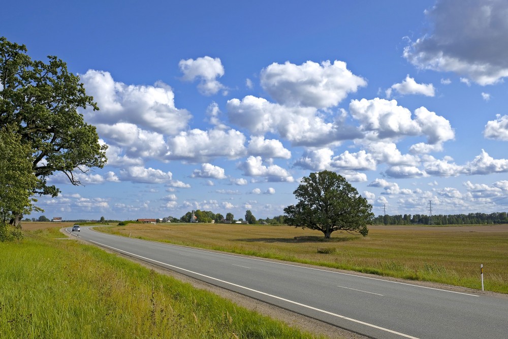 Landscape of Courland (Kurzeme)