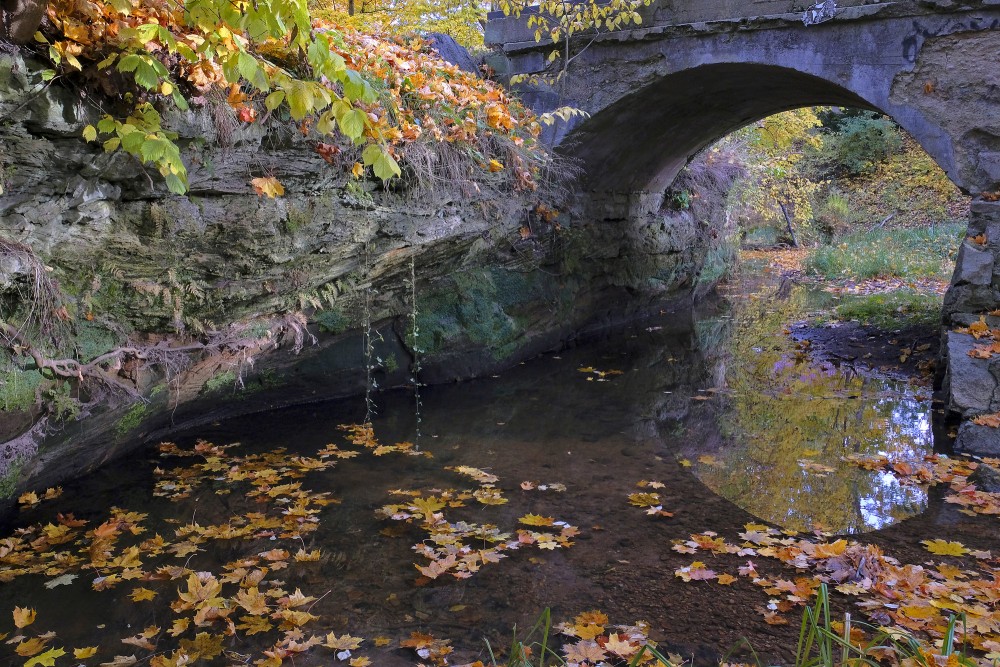 Stone Bridge Arch with Autumn Leaves Floating on Water