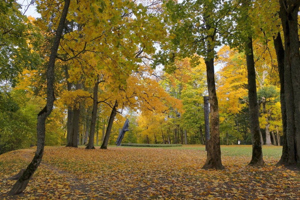 Artistic wooden poles in a park in golden autumn light