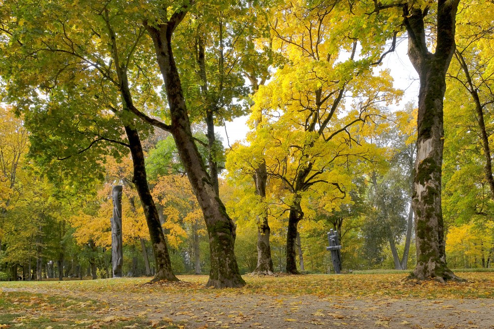 Wooden Sculptures in the Park Among the Trees in an Autumn Landscape