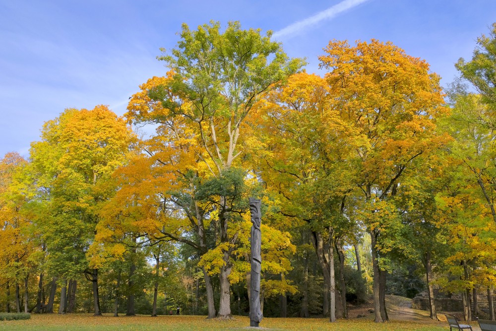 Wooden Sculpture Surrounded by Golden Autumn Trees