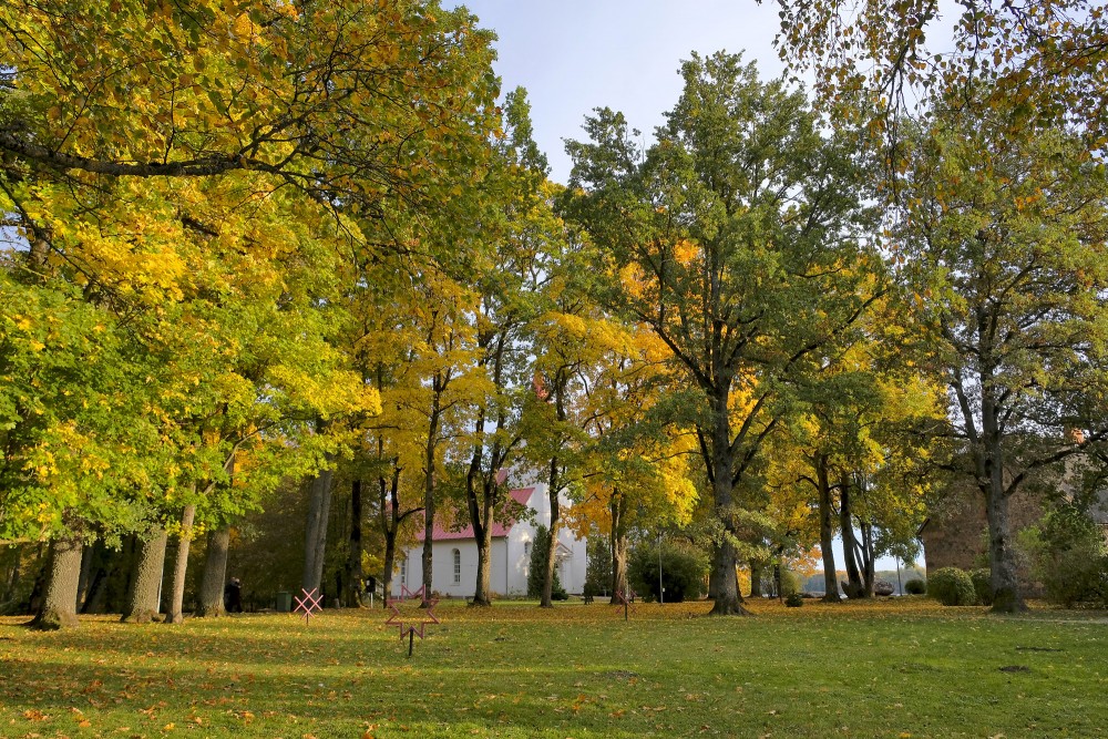 White Church with Red Roof in Autumn Park
