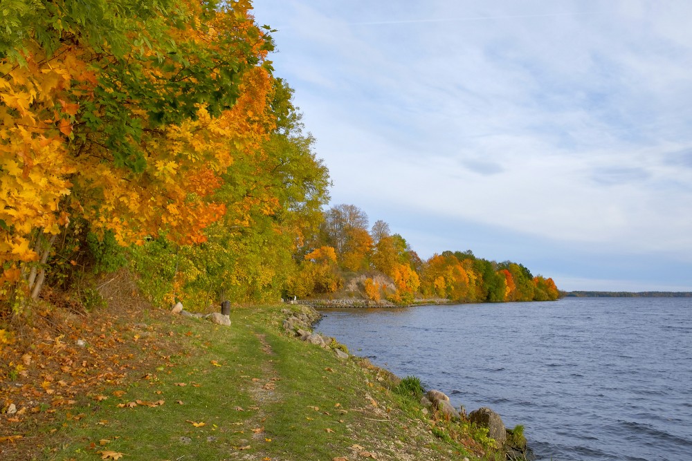 Peaceful Autumn Riverbank Path with Golden Trees