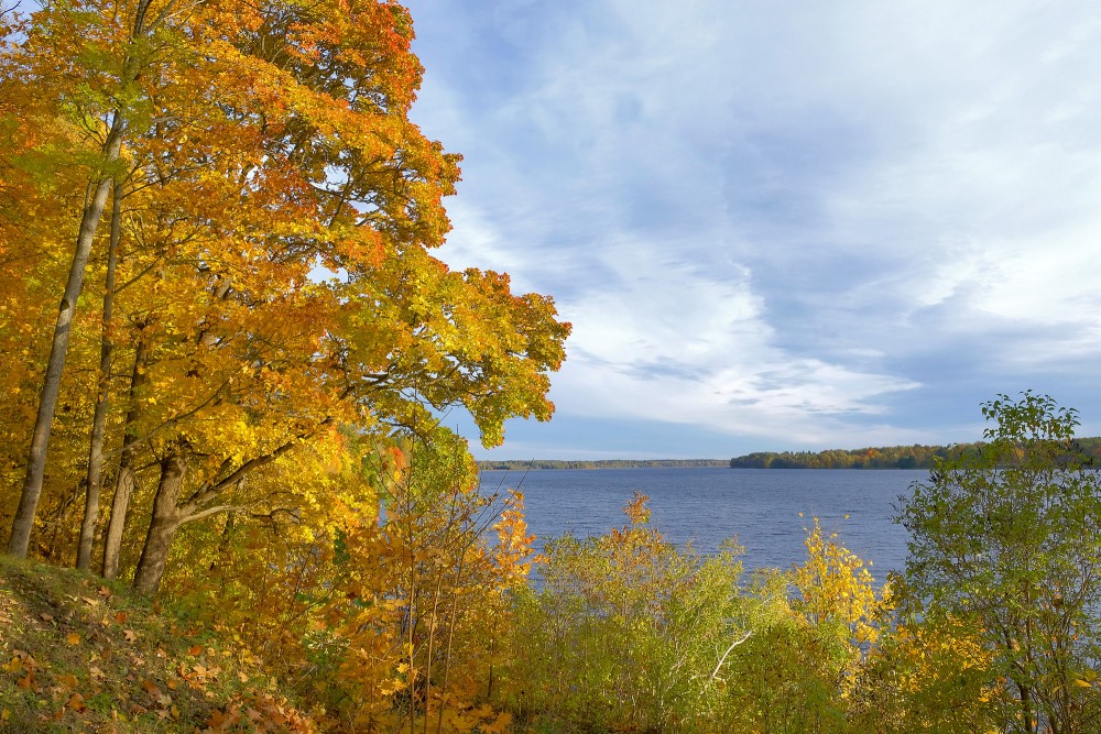 Vibrant Autumn Foliage Overlooking Wide Daugava River