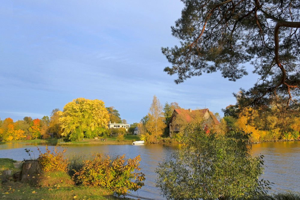 Autumn landscape with houses and vibrant trees by the lakeshore