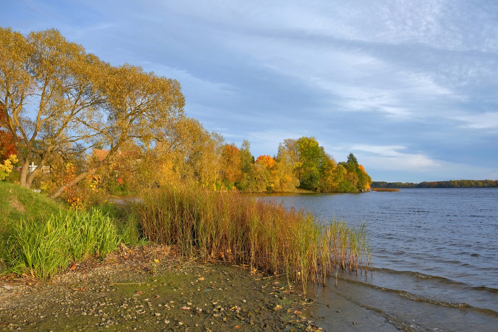 Daugava landscape with colorful trees and gentle river waves