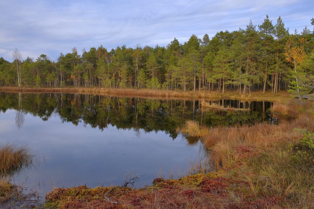 Bezdibenis Lake landscape with forest reflections