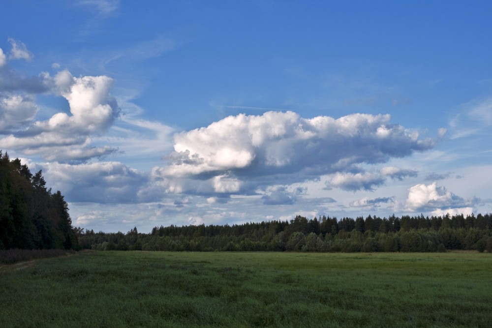 Landscape With Clouds