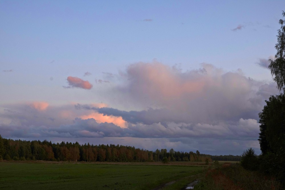 Evening Landscape With Clouds