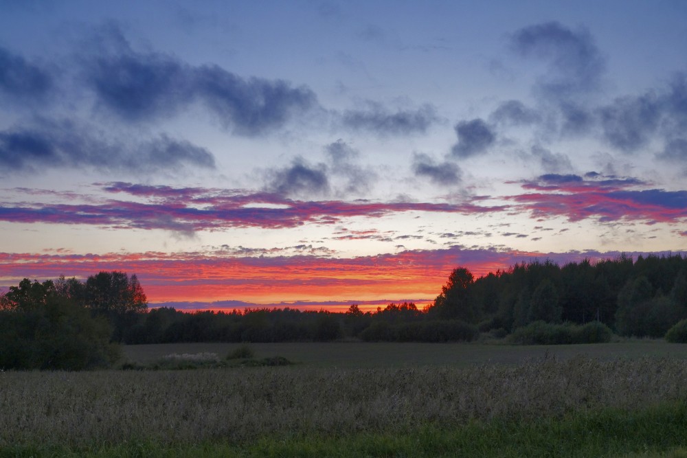 Vibrant sunset with red cloud bands over a meadow and forest silhouette