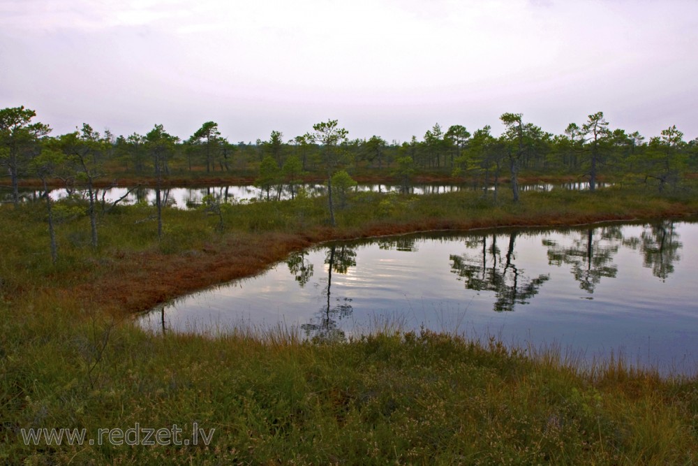 Great Ķemeri Bog Landscape