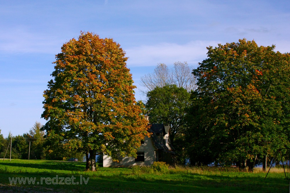 Rudens ainava Koknesē