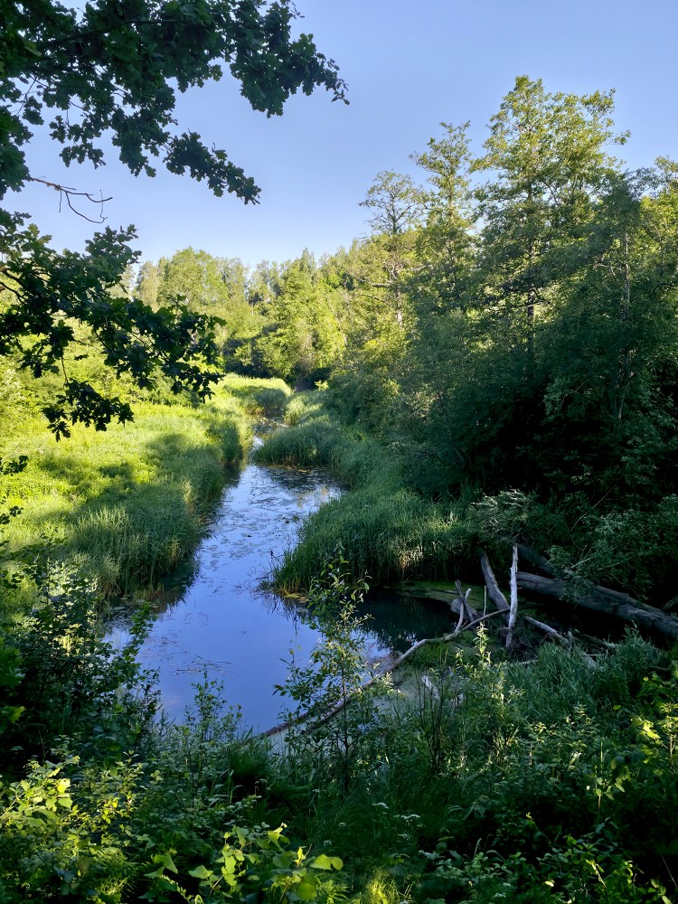 Durbes upe pie Cīravas mežaparka