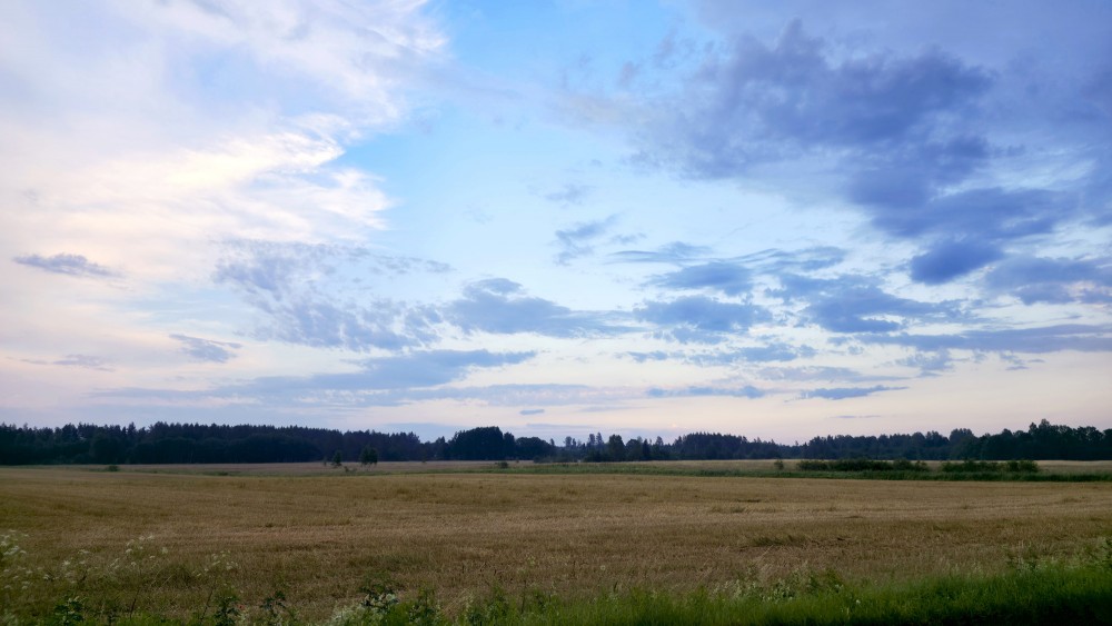 Vakara ainava laukos