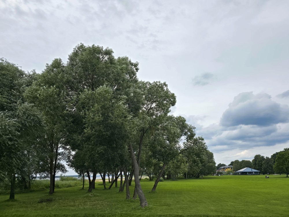 Zaļš parks ar kokiem un zālienu zem mākoņainām debesīm, Ikšķile