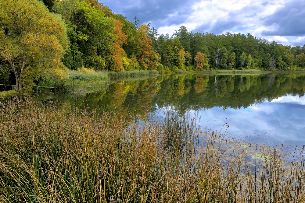 Kazdangas Dzirnezera rudens ainava Kazdangas Dzirnezera rudens ainava