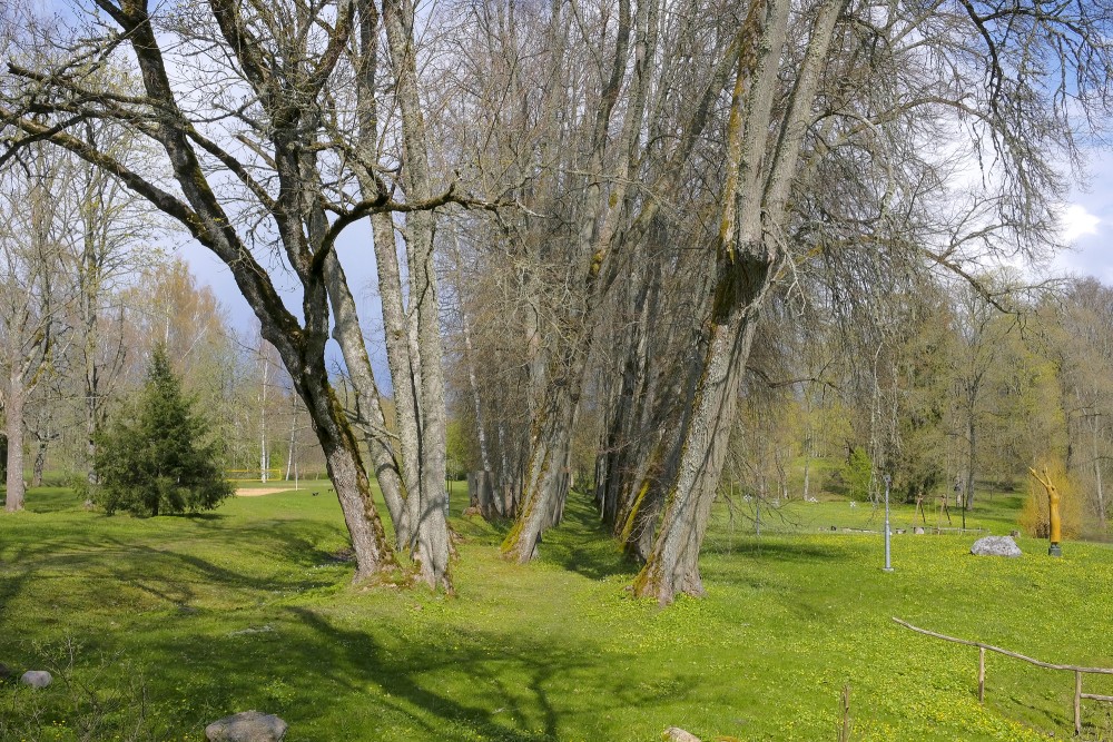 Alley in Spāre Manor Park