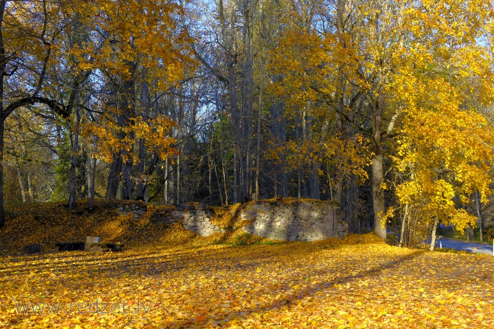 Autumn Landscape