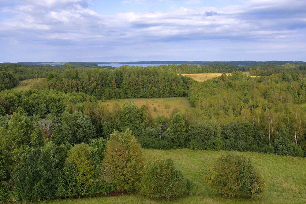 View from Siberija observation tower over forests and meadows under cloudy sky