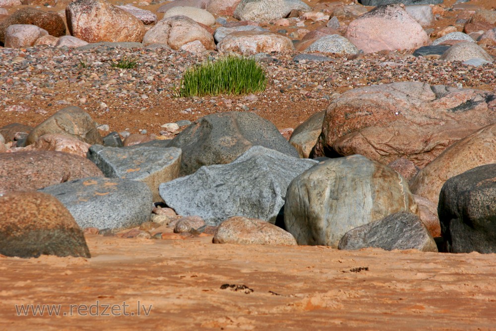 Akmeņi pludmalē