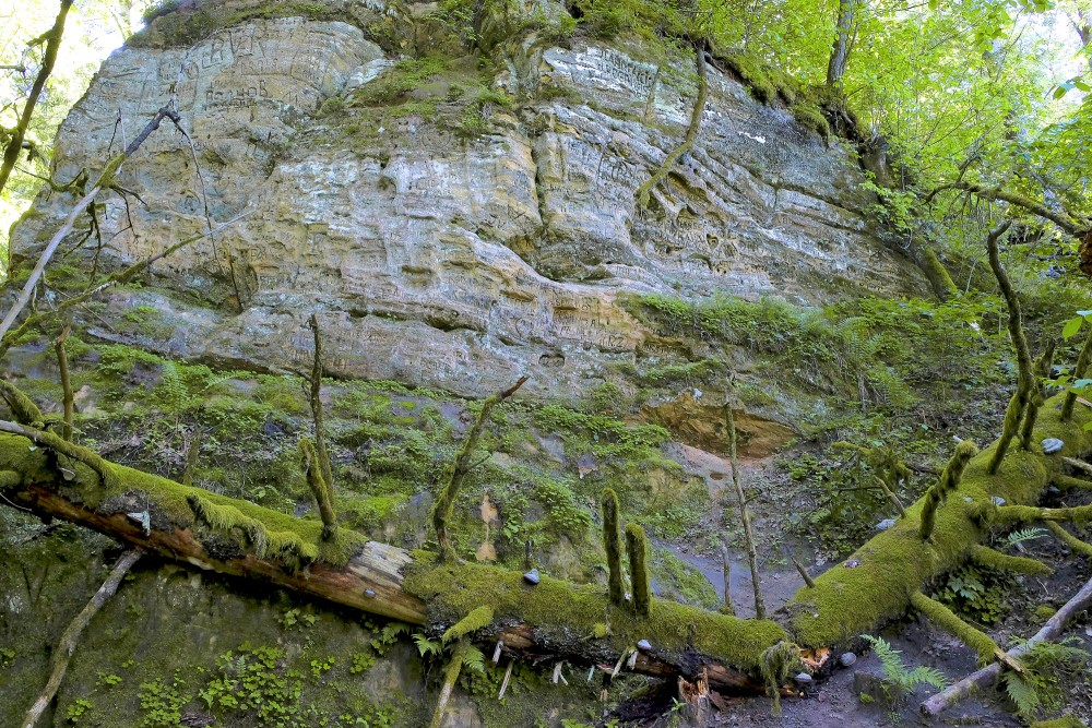 Smilšakmens atsegums pie Inčukalna Velnalas