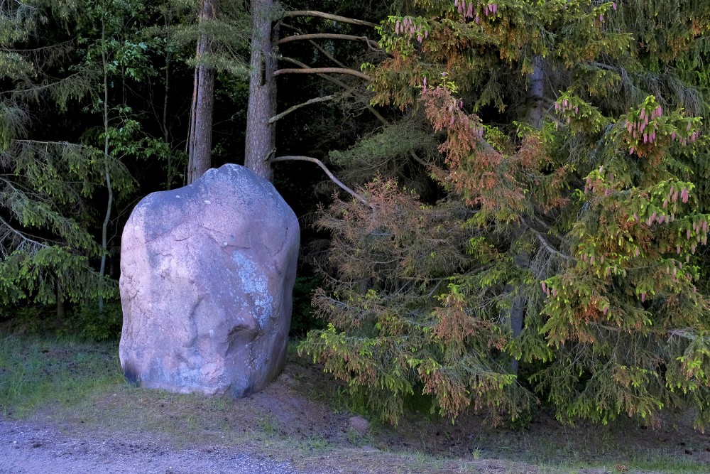 Stone at the Edge of the Forest