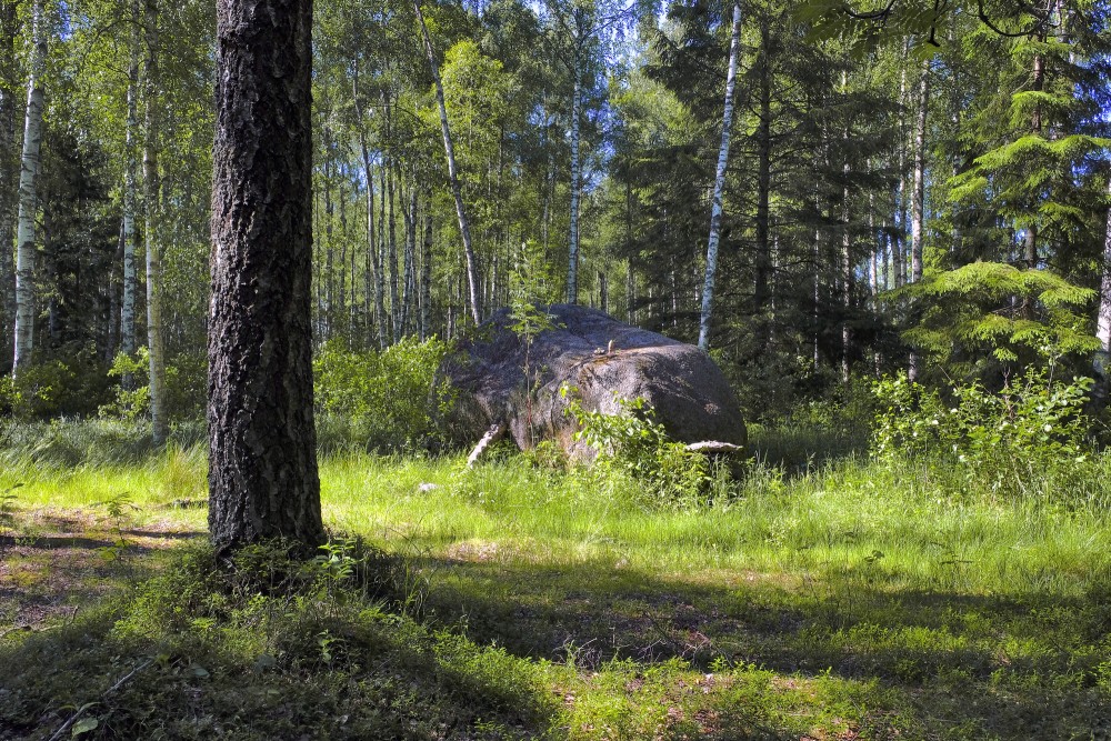 Zeltapses (Upsīšu) dižakmens