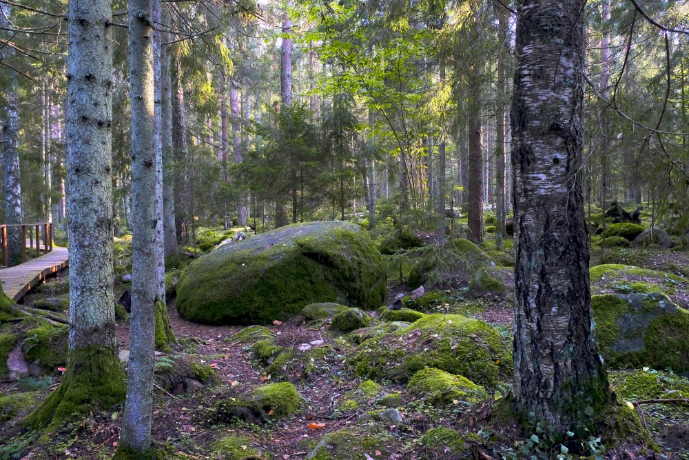 Nature trail "Kaltenes Kalvas" (Stone Ridges)