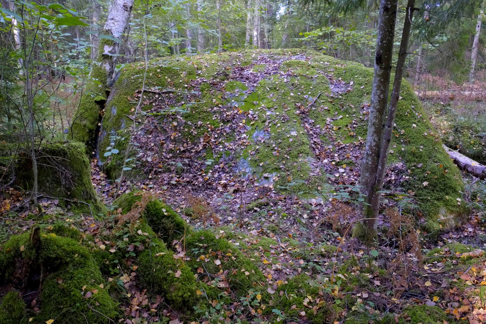 Silkalēju Zviedru akmens