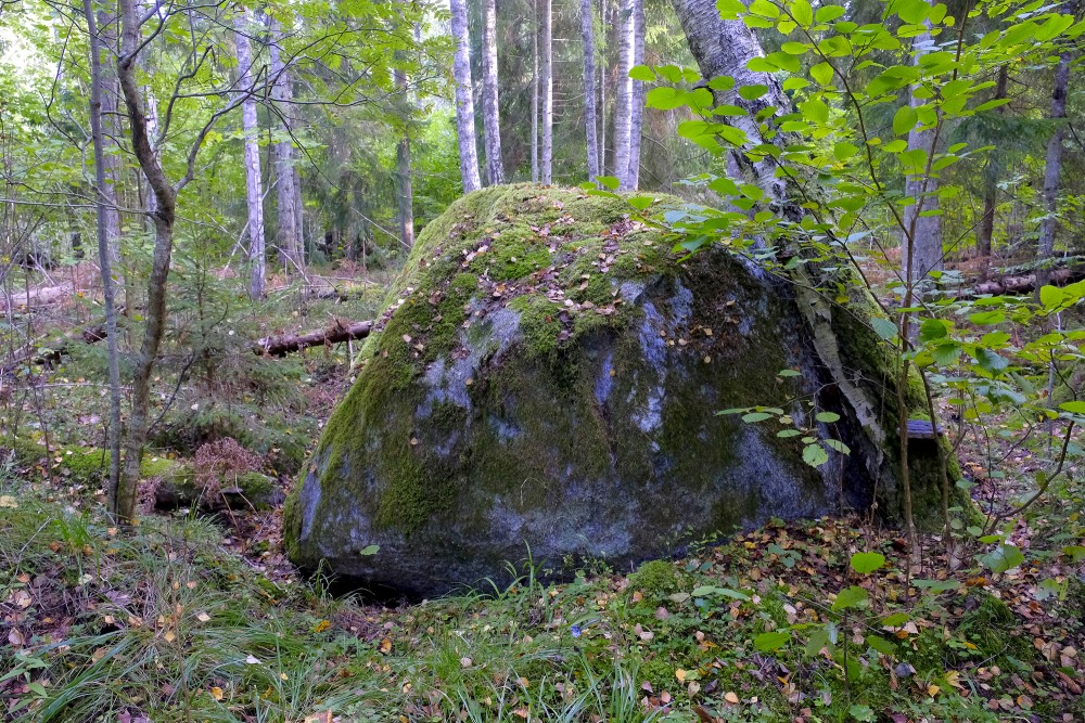Silkalēji Swede stone