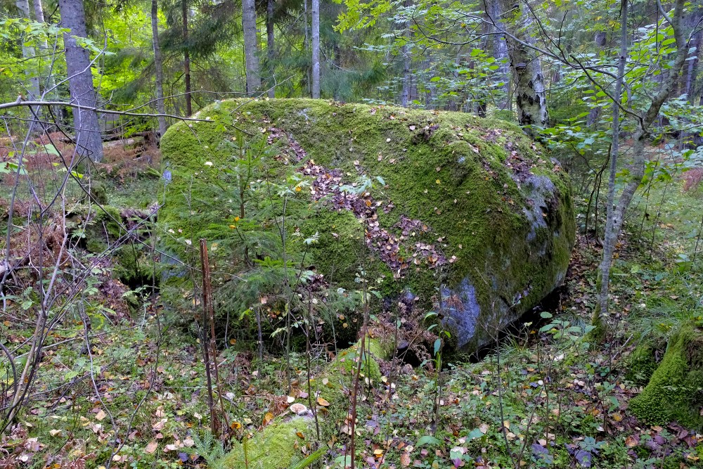 Silkalēju Zviedru akmens