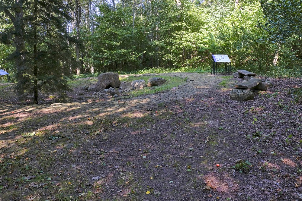 Cup-marked stones site in the forest with a path and an information board