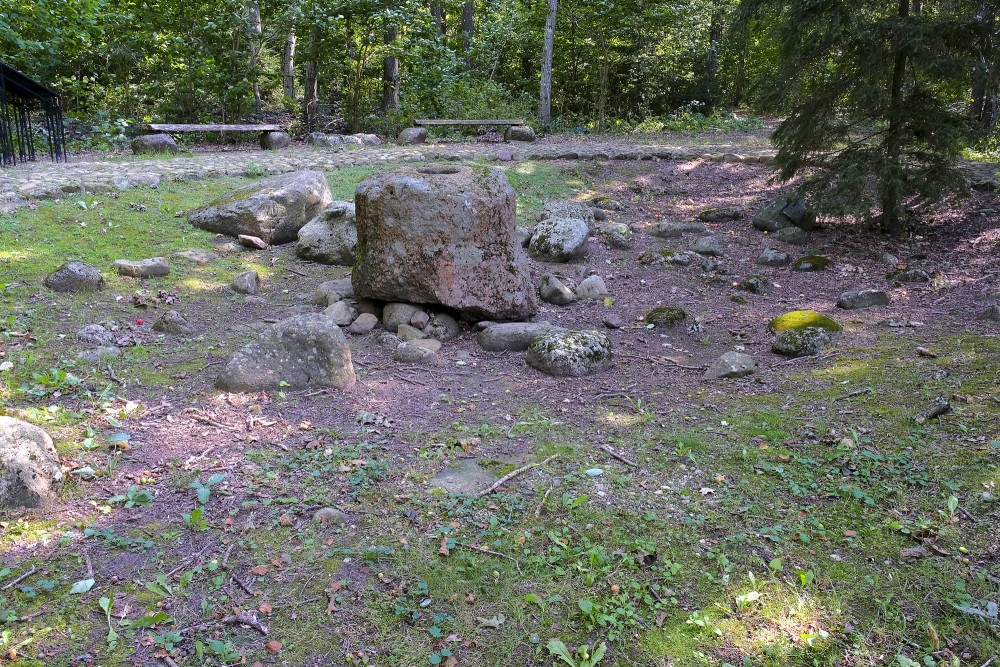 Cup-marked stones group in a forest clearing with a large boulder and benches