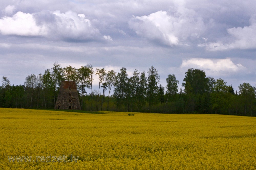 Old windmill in the rape field