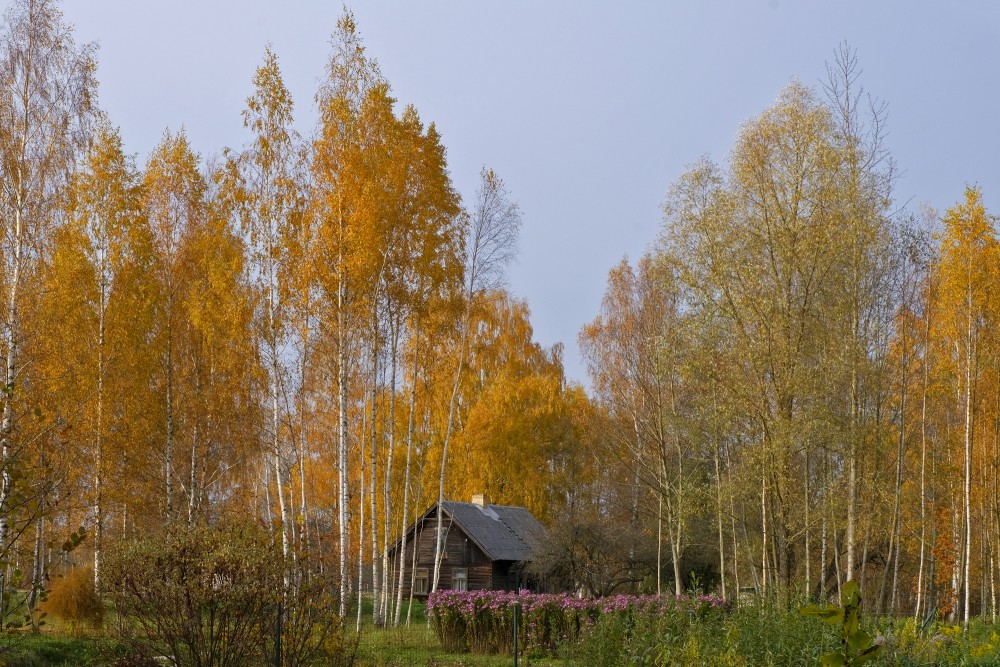 Rudens ainava ar lauku māju