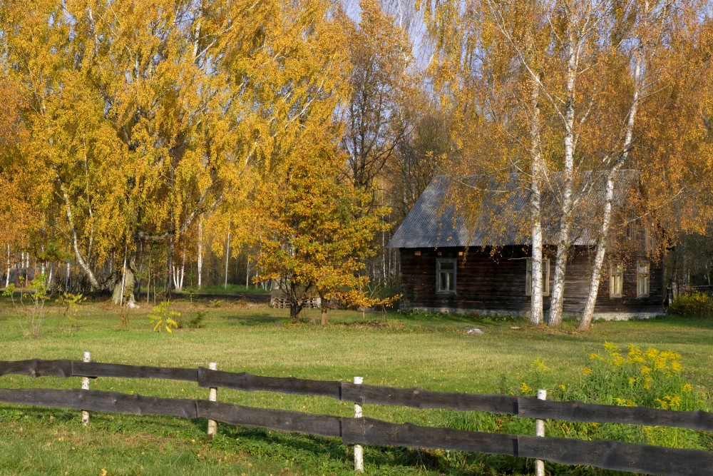 Autumn in Yard of Old House
