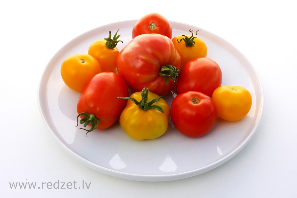 Tomato varieties