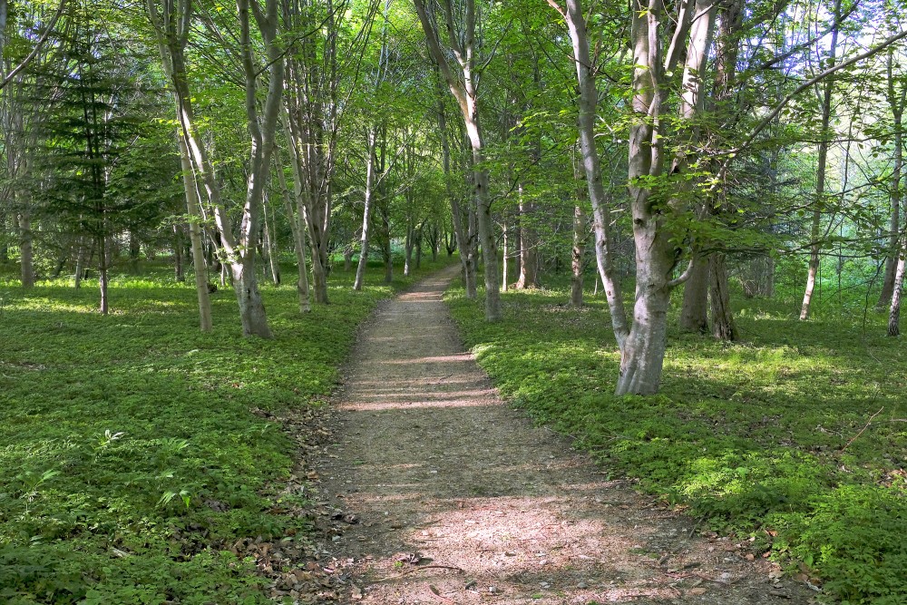 Misiņkalna pastaigu takas