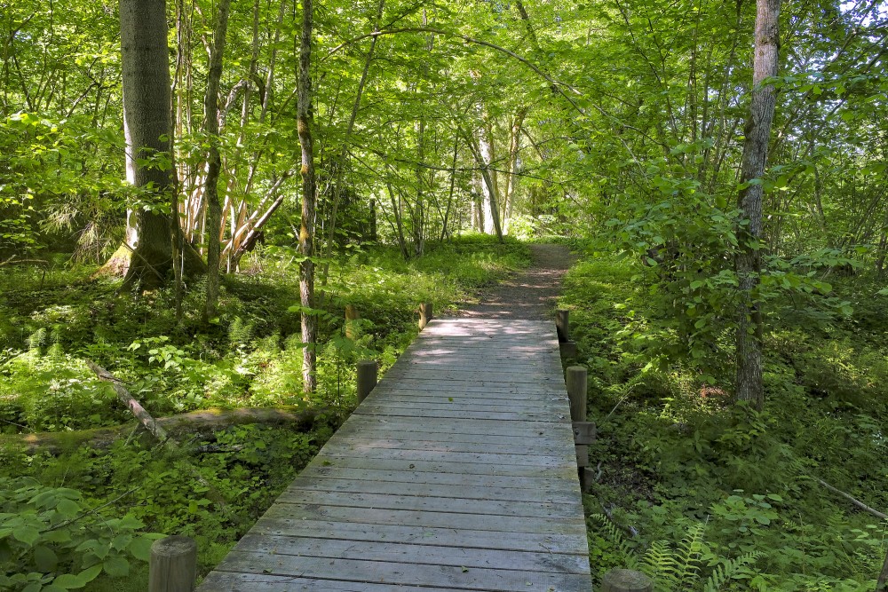 Mednieku spēka taka Inčukalnā