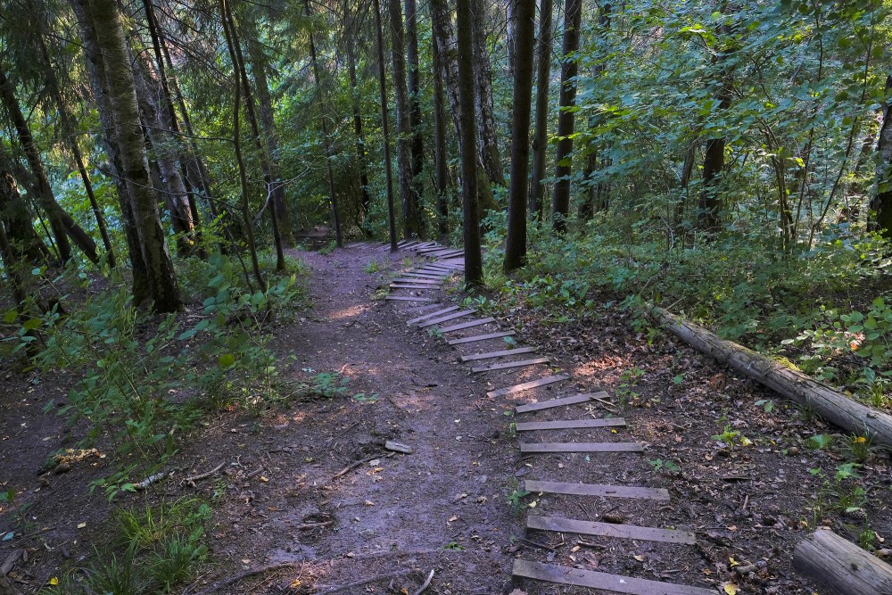 Amata Trail