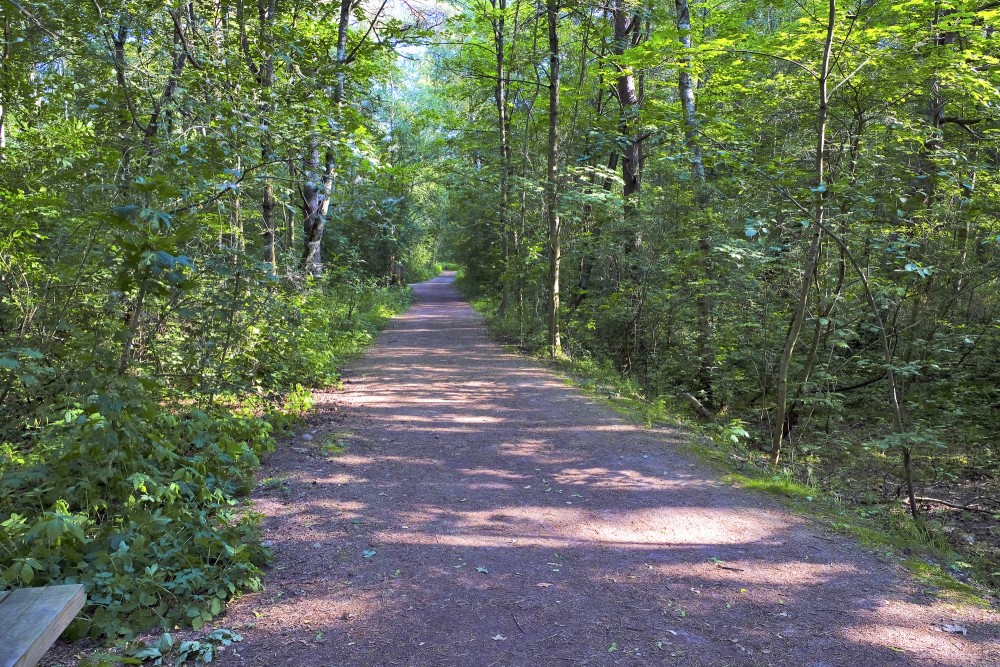 The Walking Route in Mangalsala
