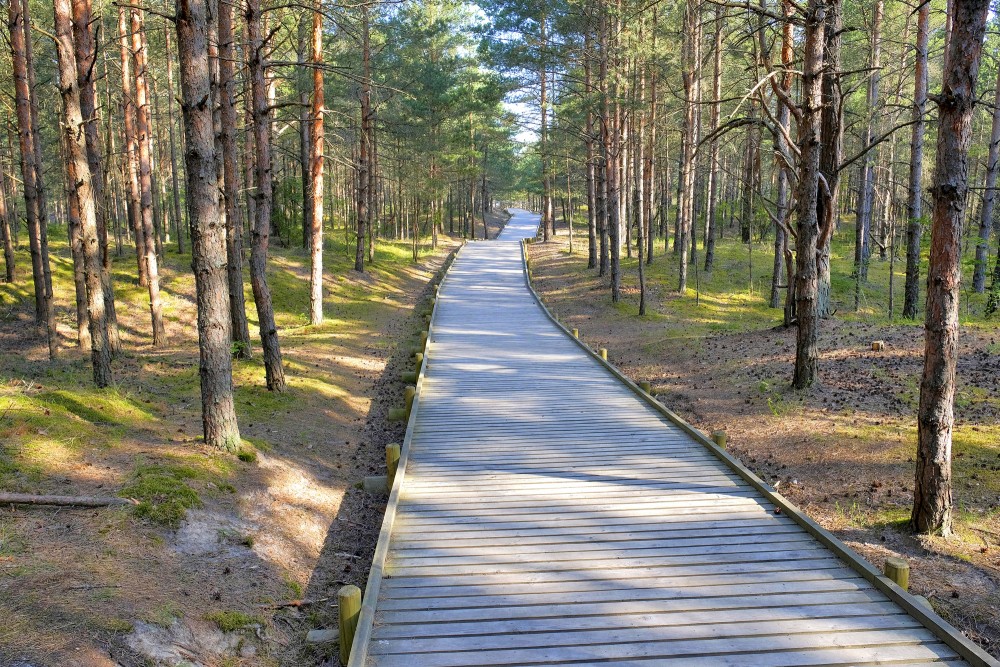 The Walking Route in Mangalsala