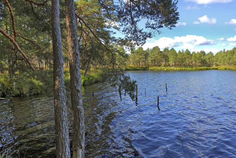 Purezera dabas taka Purezera dabas taka